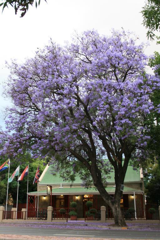 88 Baron Van Reede Guesthouse Oudtshoorn Exterior foto